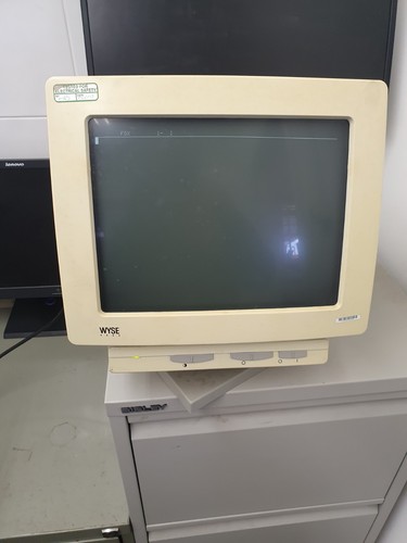 Wyse 55es white crt - wyse,