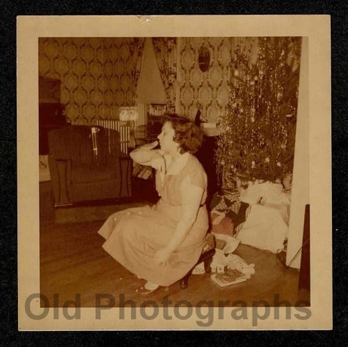 1954 xmas tree - tree, sitting