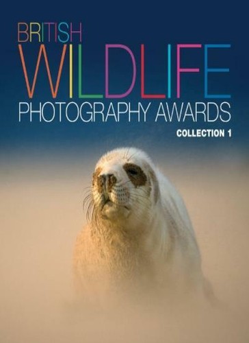 British wildlife photography - wildlife,