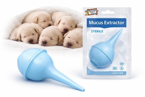 Sterile bulb syringe - syringe, mucus