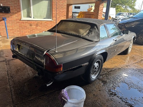 1985 jaguar xjs - 1985,