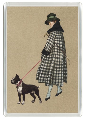 Boston terrier elegant lady - boston,