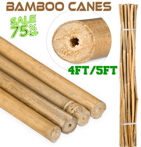 Bamboo cane garden natural - garden,