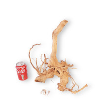 Aquarium Driftwood Natural