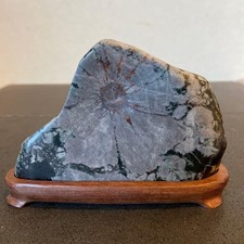 Suiseki Viewing Natural Stone