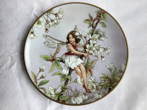 The wild cherry blossom - the, fairy