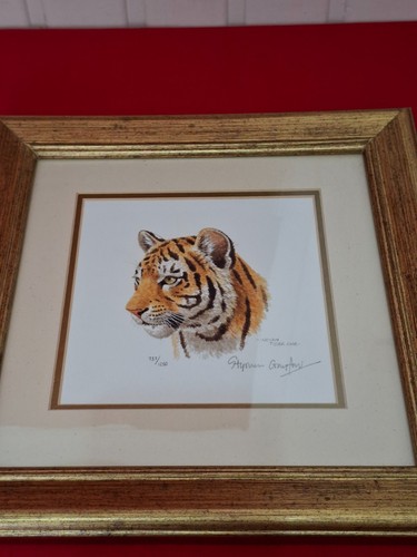 Indian tiger cub - –, signed
