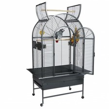 Premium top opening parrot - opening,