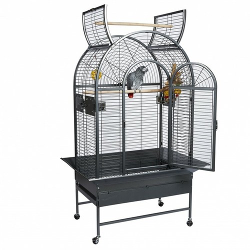 Premium top opening parrot - top,