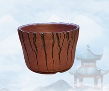 Classic crackle bonsai - crackle, /