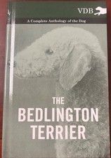 Bedlington Terrier - a