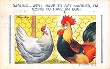 BAMFORTH BROWN TRIANGLE POSTCARD NO 283  HENS FITZPATRICK USED GOOD PLUS
