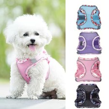 Reflective Puppy Dog/Cat