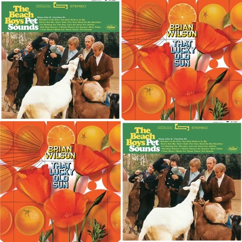 The beach boys pet - the,