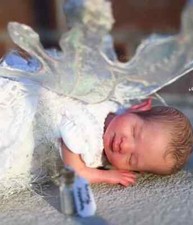 8" Mini Wynter Fairy Reborn