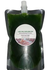 Phytoplankton 500-1500ml Fresh Nannochloropsis Microalgae Marine Aquarium Food