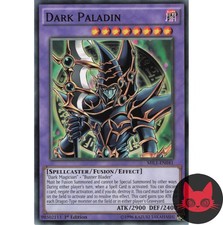 Yugioh Dark Paladin MILI-EN041