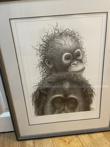 Gary hodges limited edition - gary,