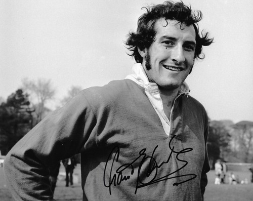 Gareth edwards wales portrait - edwards,