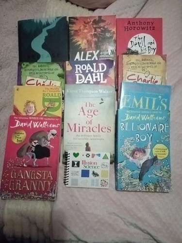 Job lot fiction books - fiction, books-