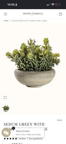 Artificial green sedum - artificial,