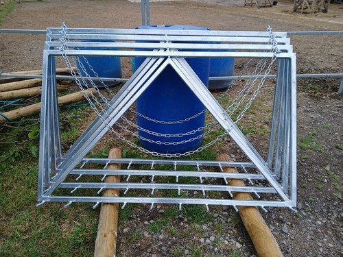 New horse arena - horse, round