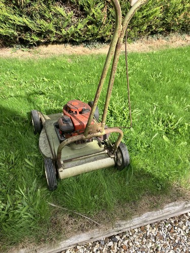 Hayterette rough cut - rough,