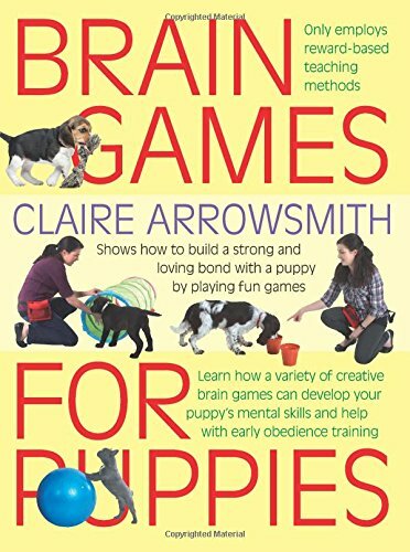 Brain games for puppies - games,