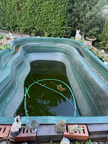 Green plastic preformed fish