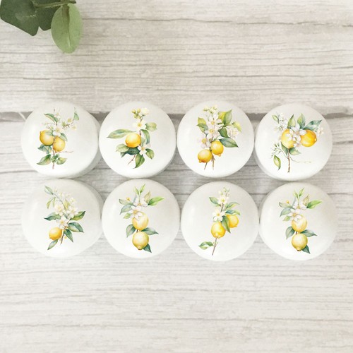 Lemon furniture knobs - lemon, knobs,