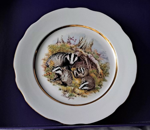 Badger plate silurian ceramic - ,