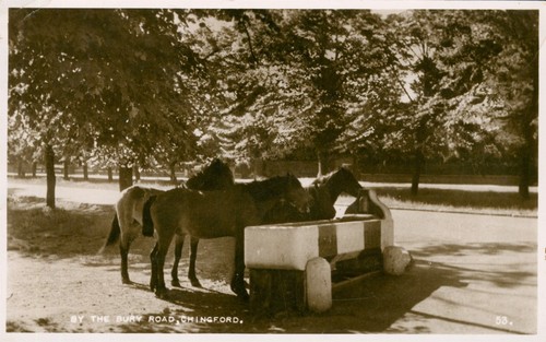 Chingford essex the bury - chingford, by