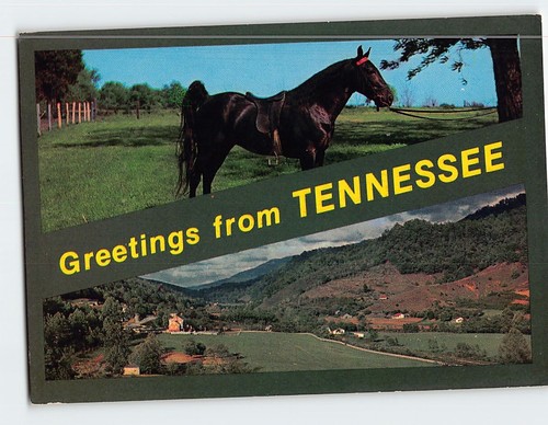 Postcard tennessee walking - postcard,