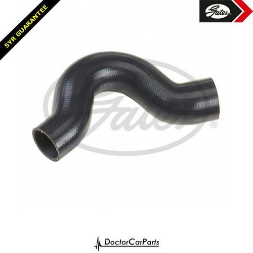 Radiator hose pipe upper for - hose,