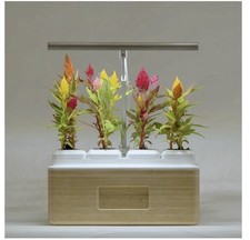 Totam Planter - New (Opened