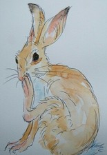 Grooming Hare Watercolour