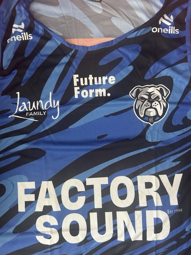 Canterbury bulldogs polyester - bulldogs,
