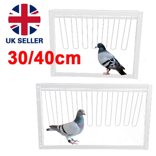 Removable trap door bird - door, cage