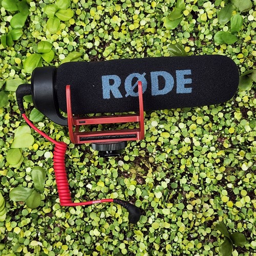 Rode videomic lightweight - rode,