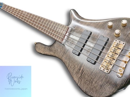 Warwick streamer stage - warwick,