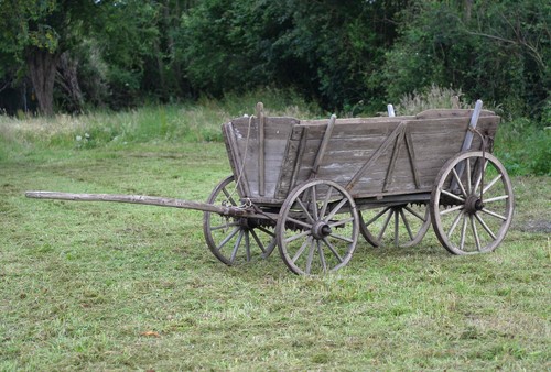 Vintage cart old pony - vintage,