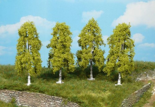 Heki weeping birches - 9, cm