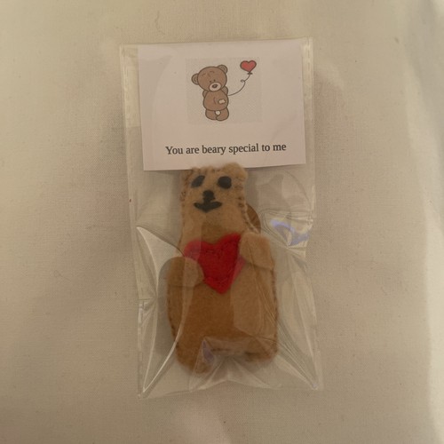 Pocket beary special - pocket, teddy