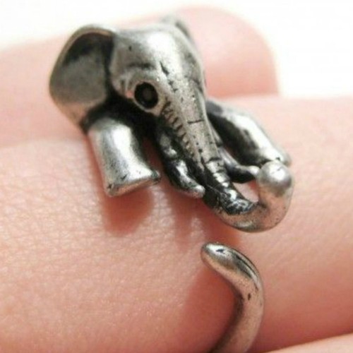 Elephant ring animal hug - , love