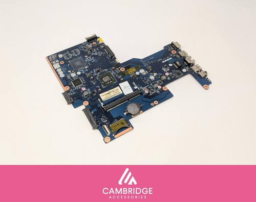 255 amd 5000 apu - hp,