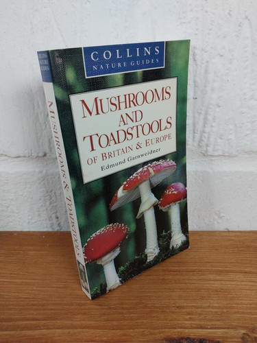 Mushrooms toadstools of - toadstools,