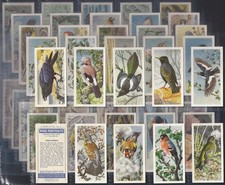 BROOKE BOND (TEA)-FULL SET- BIRD PORTRAITS 1957 (WITH ADDRESS 50 CARDS)