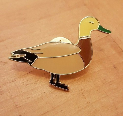 Mallard duck c001 - mallard,