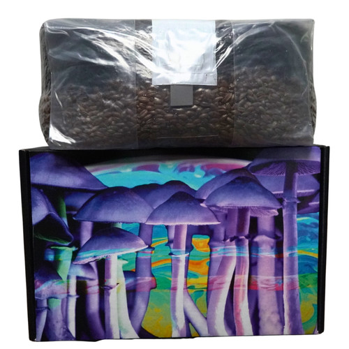 6lb all one mushroom grow - 6lb,