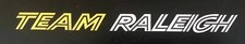 Team Raleigh chainstay decal
